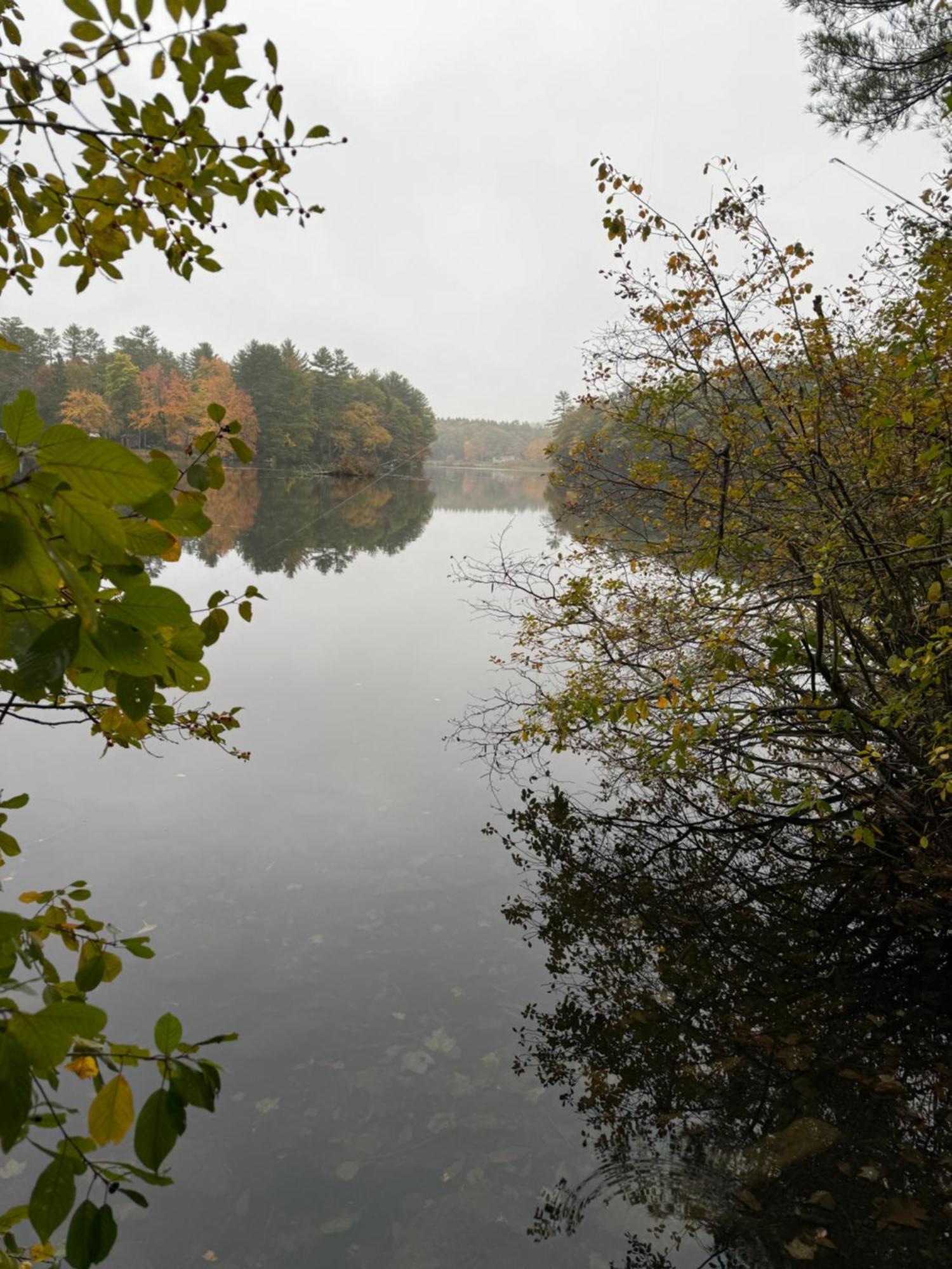 Hideaway Inn Maine Camden Esterno foto